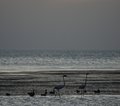 Lake Turkana Kenia