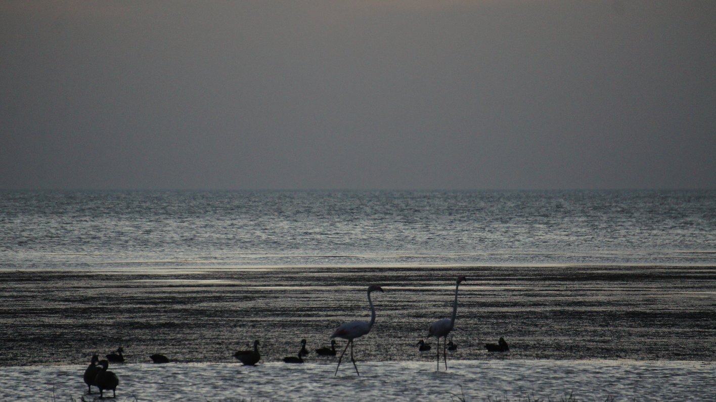 Lake Turkana Kenia