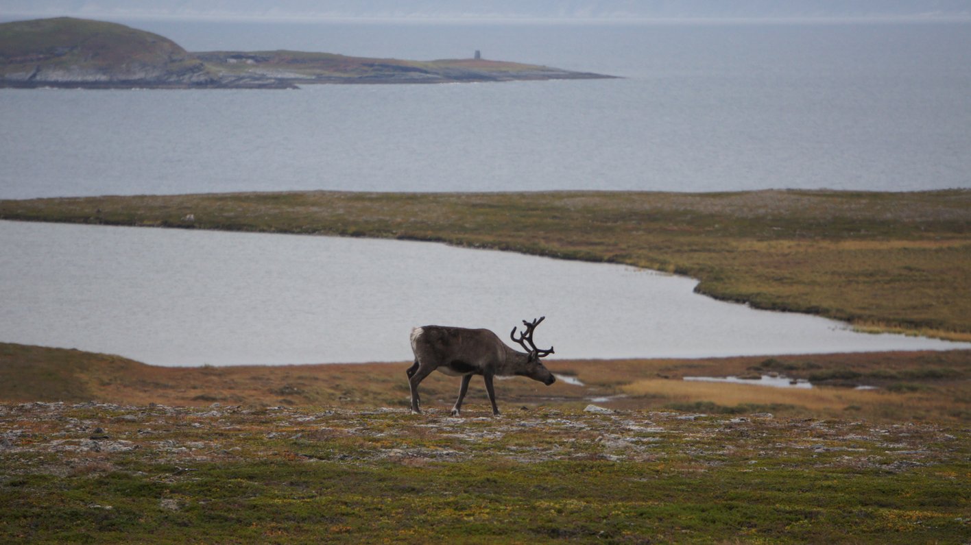 Nordskandinavien