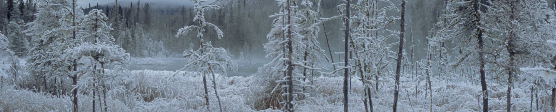 11 Tage Trapper Trail Tour 11 Tage Trapper Trail Tour