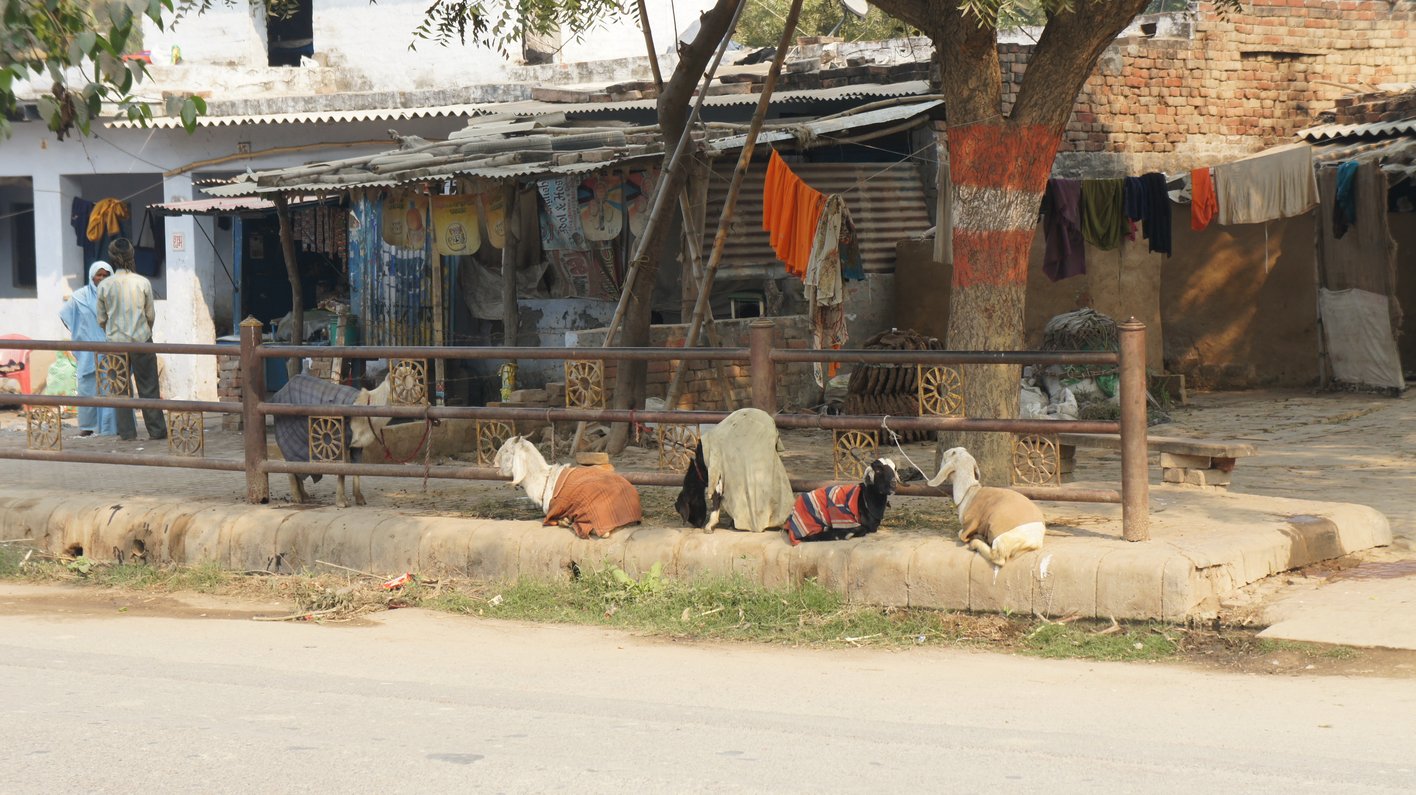 Indien