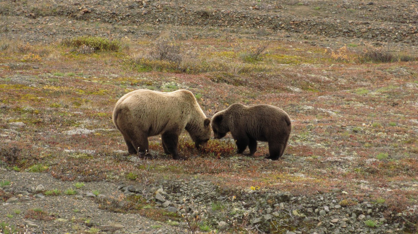 USA Alaska