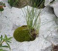 Kroatien
