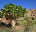 Namibia