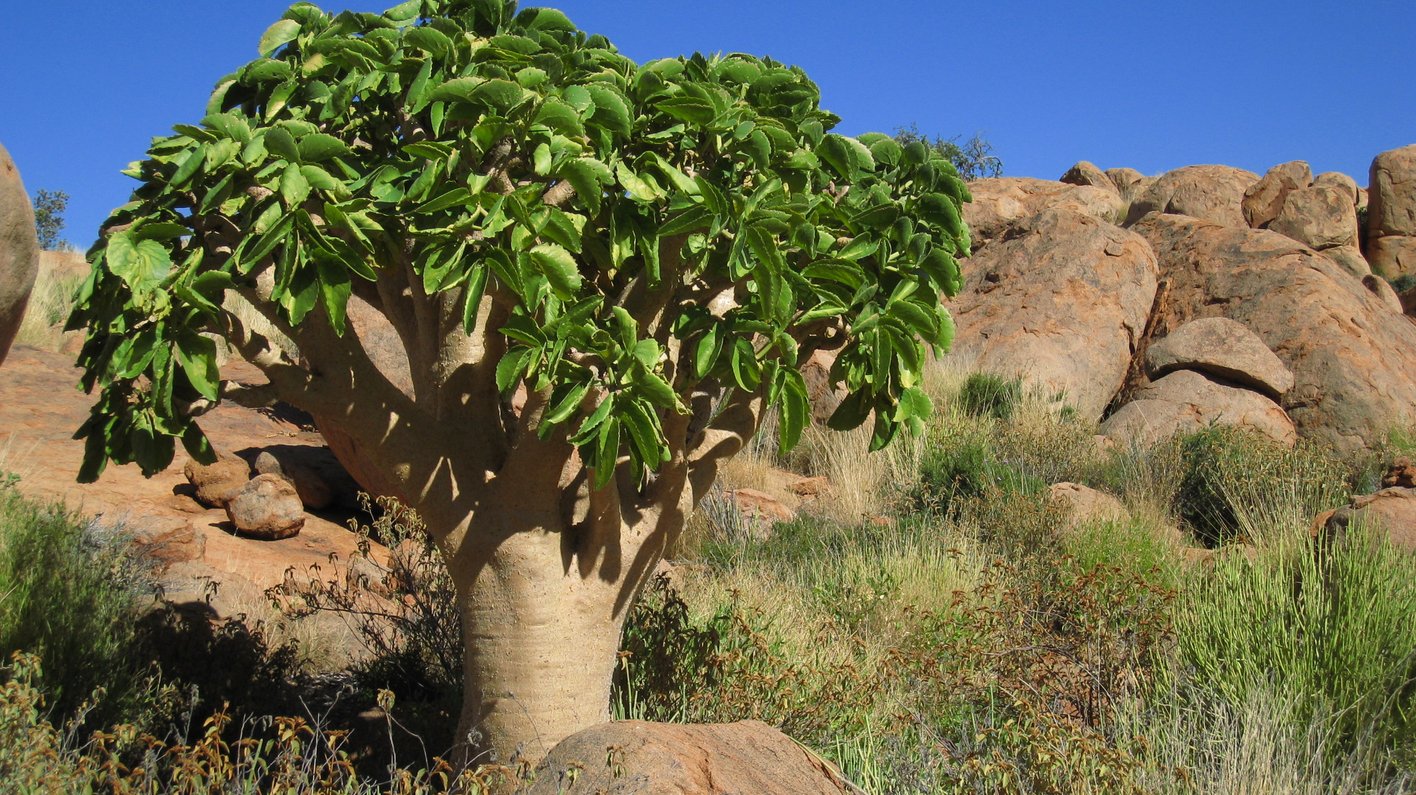 Namibia