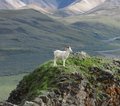 USA Alaska