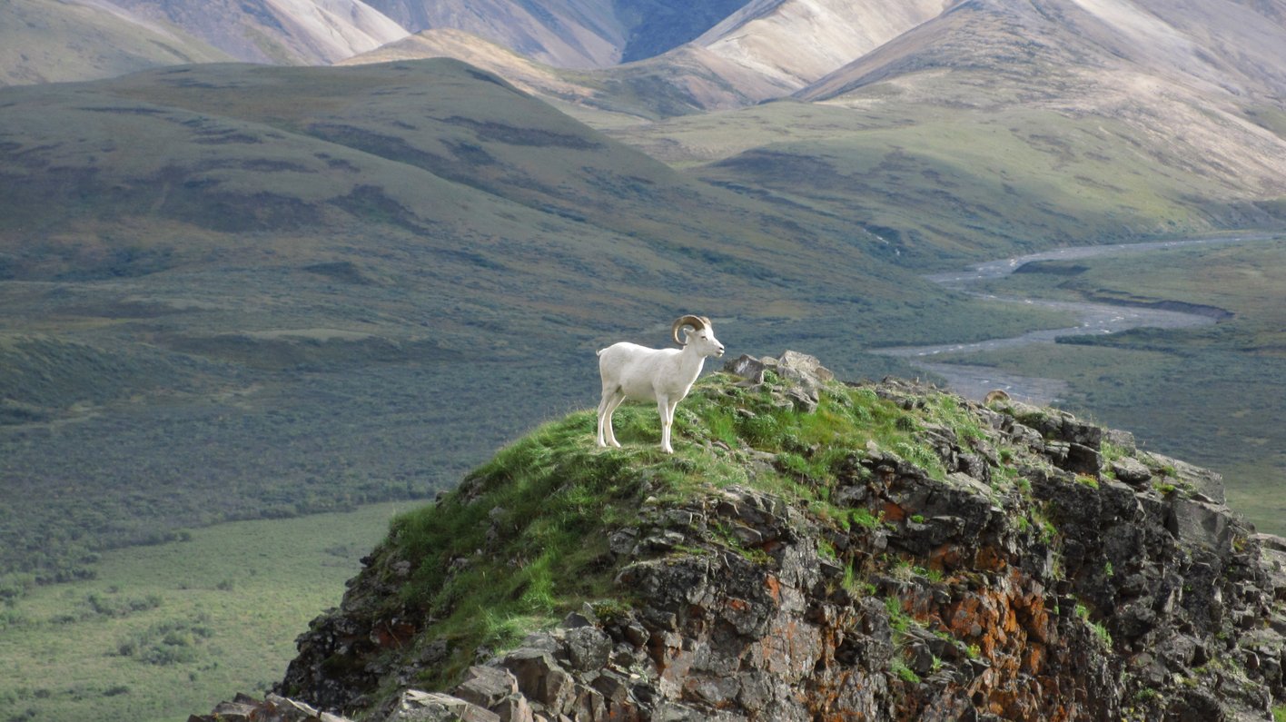 USA Alaska