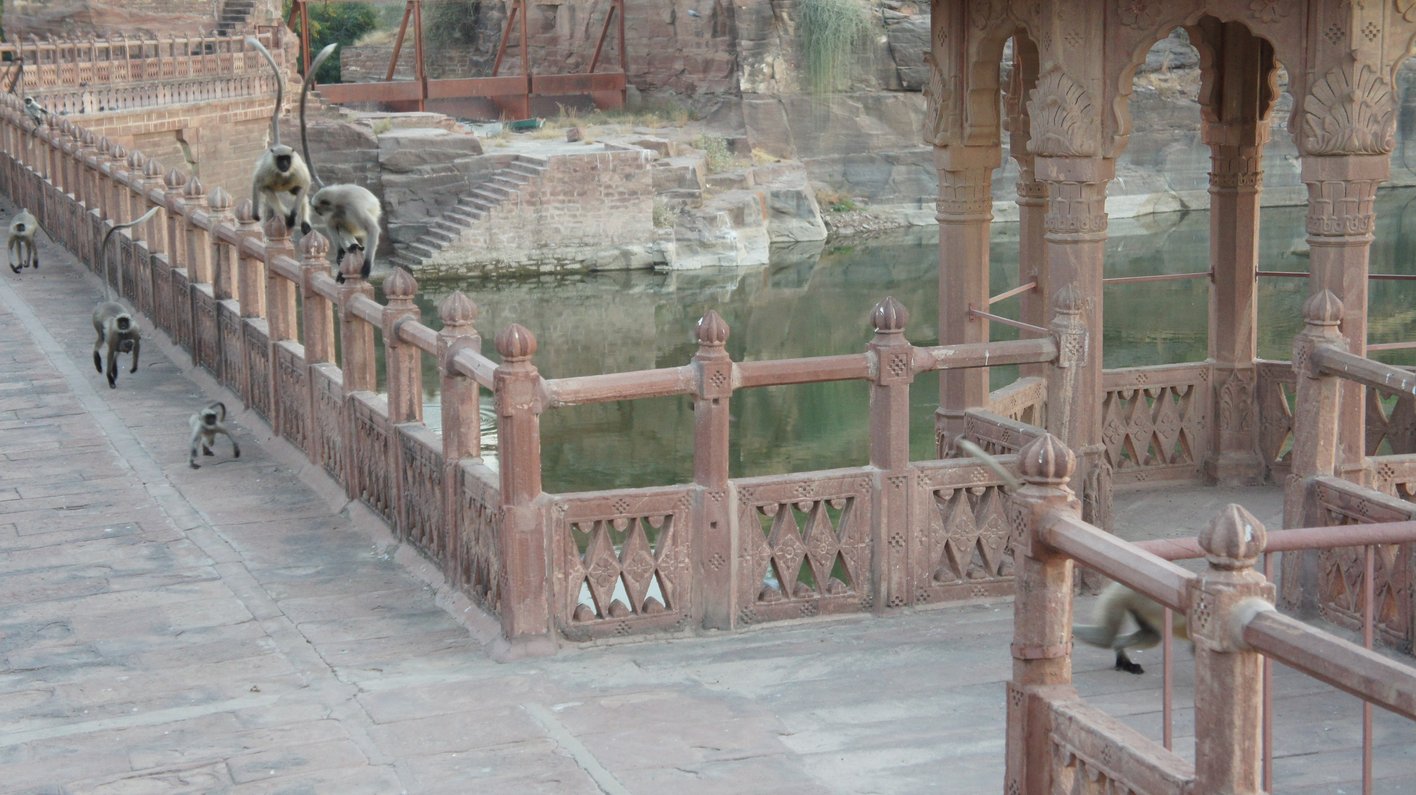 Indien