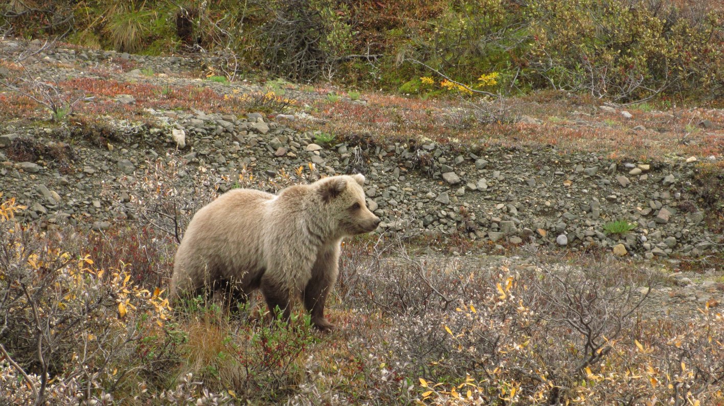USA Alaska