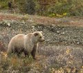 USA Alaska