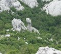 Kroatien