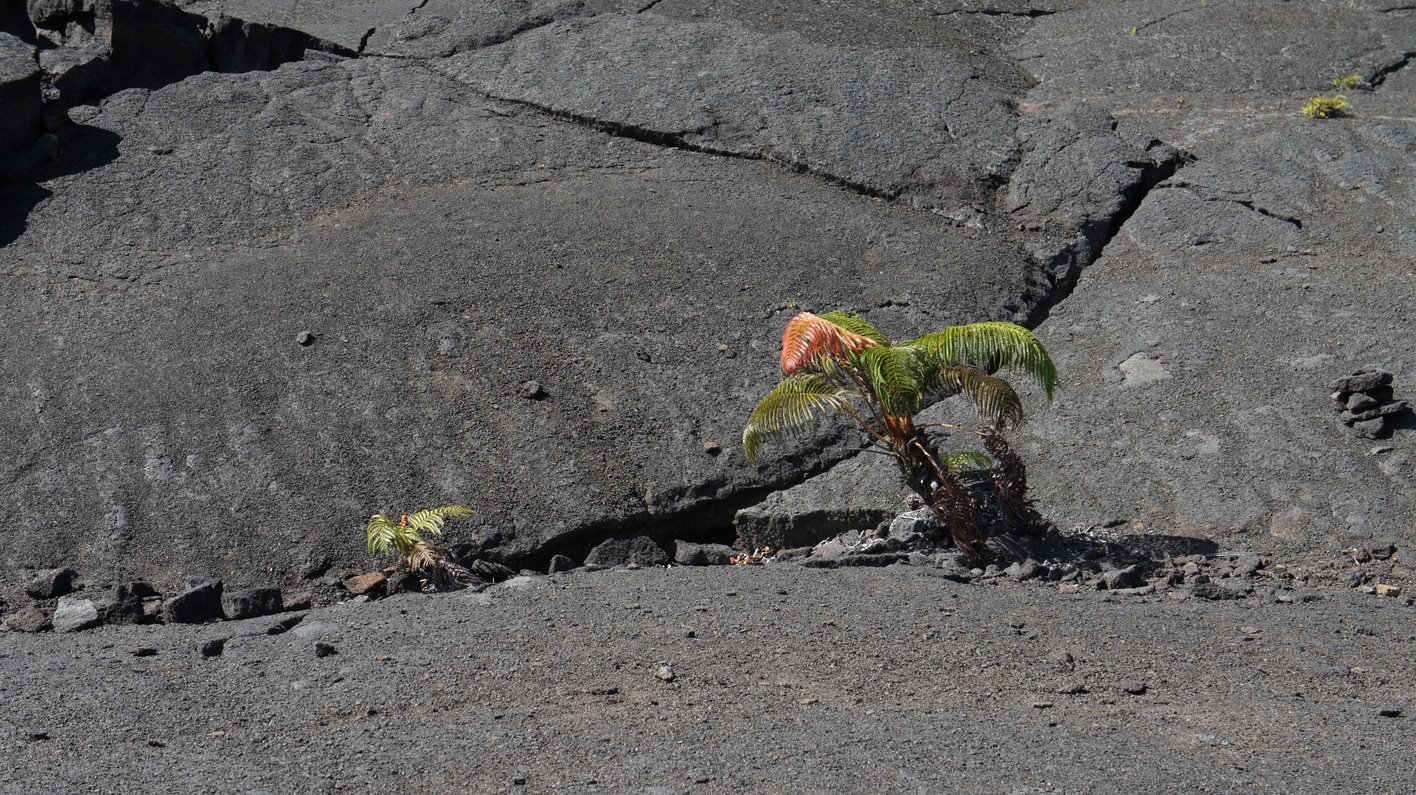 Hawaii