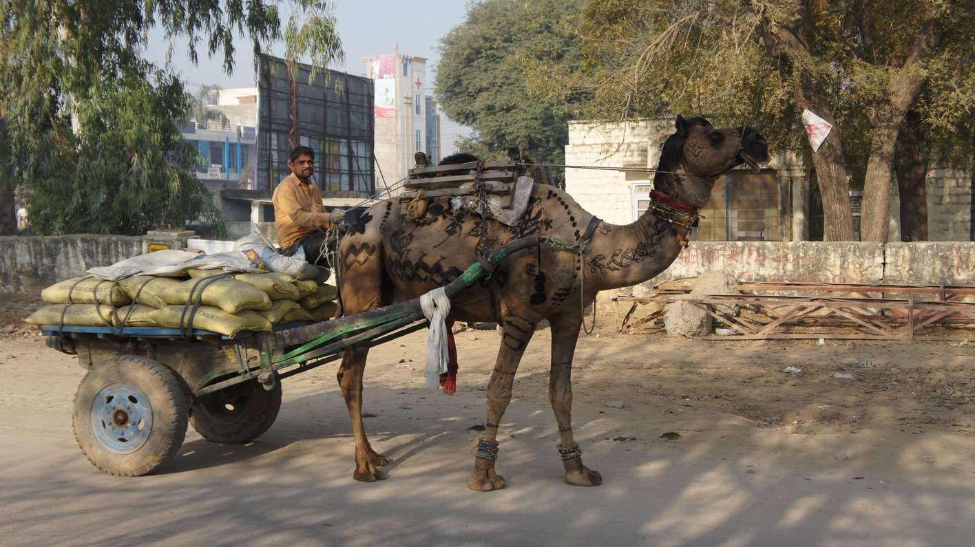 Indien