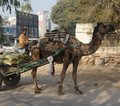 Indien
