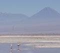 Chile Atacama