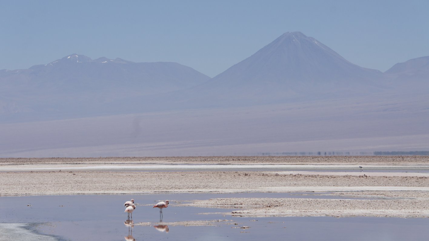 Chile Atacama
