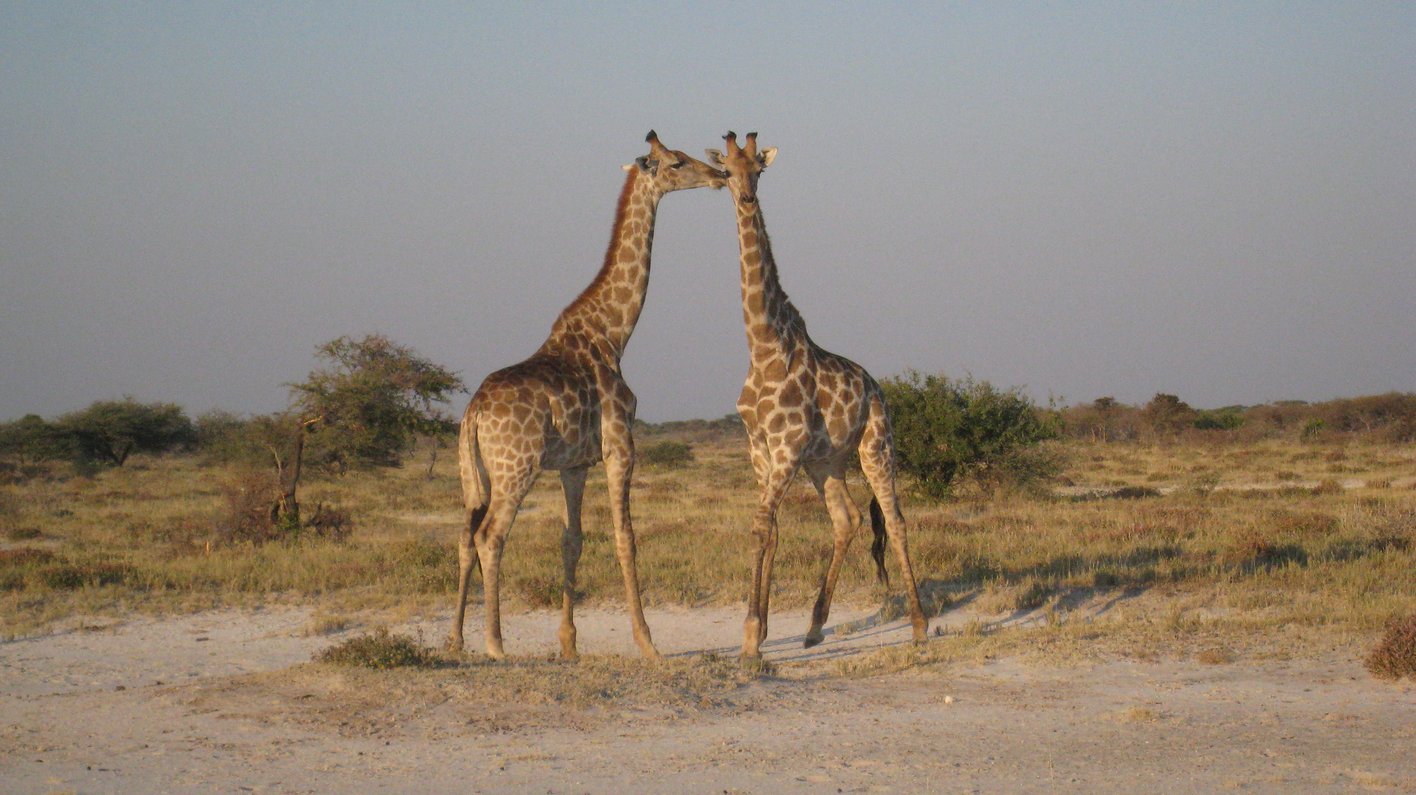 Namibia