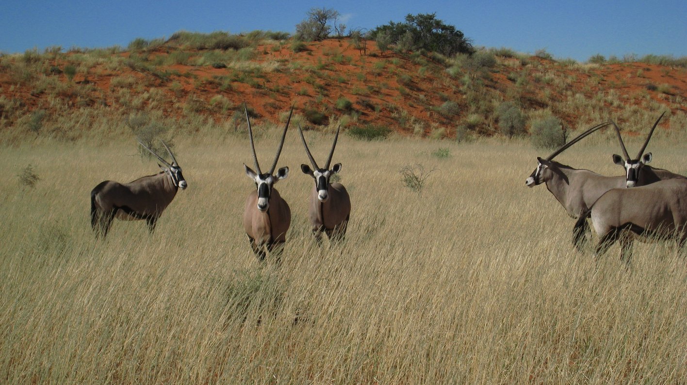 Namibia
