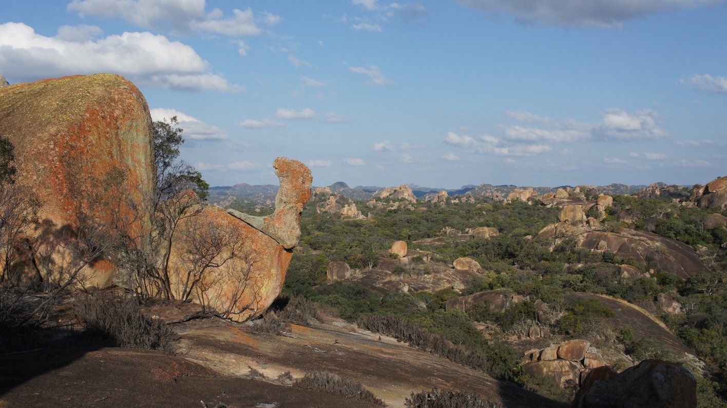 Zimbabwe
