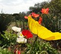 Quilttour bei den Amischen