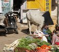 Indien