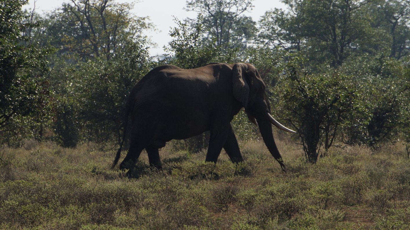 Zimbabwe