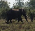 Zimbabwe