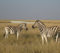 Namibia