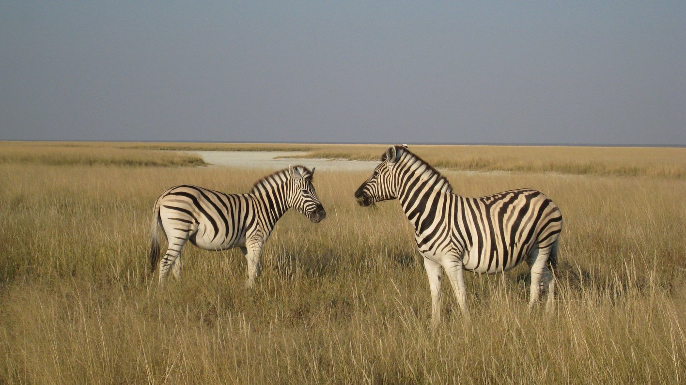 Namibia