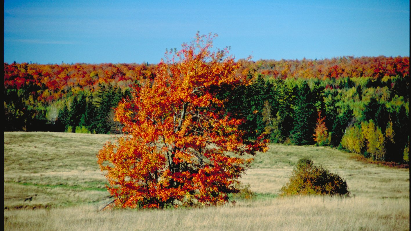 Quilttour Ostkanada