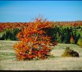 Quilttour Ostkanada