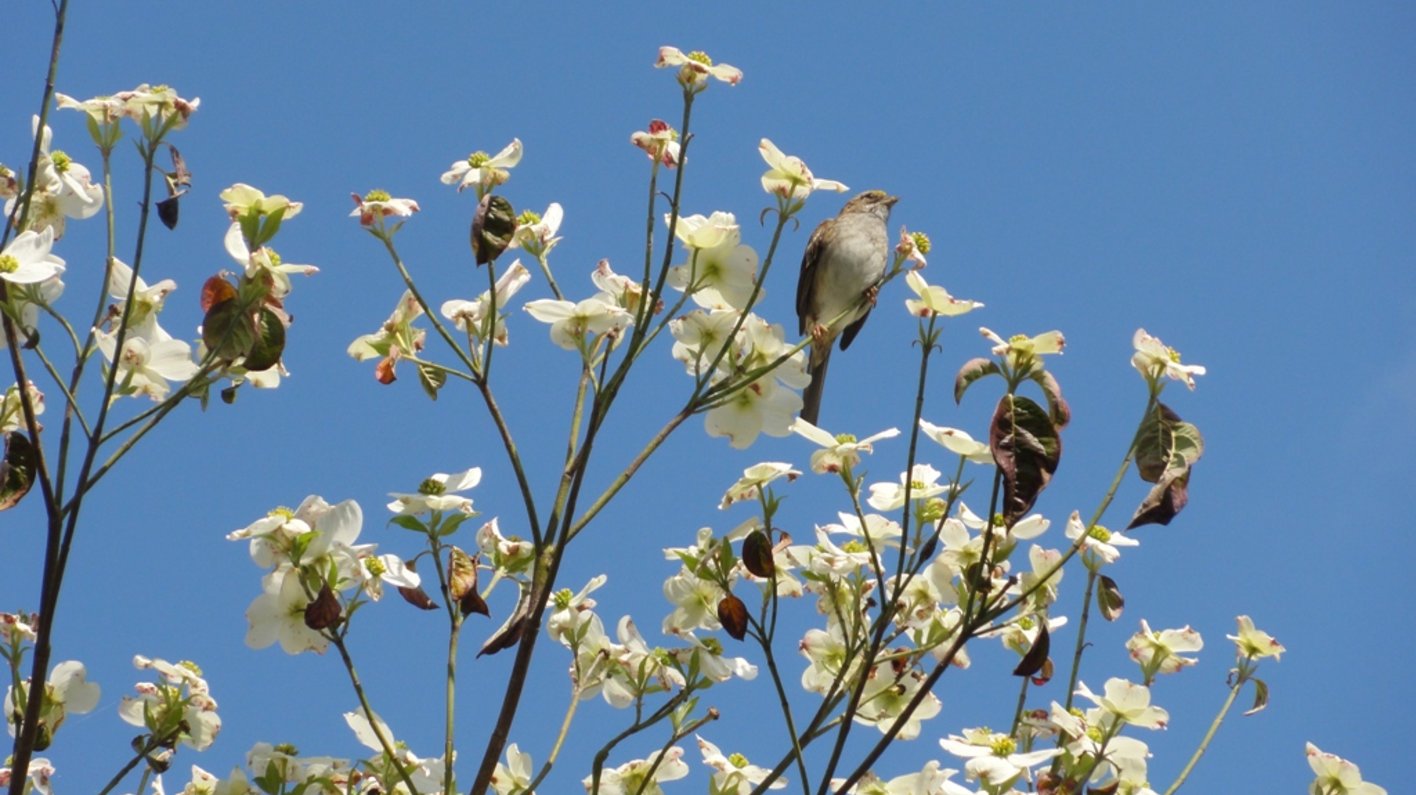 Quilttour bei den Amischen